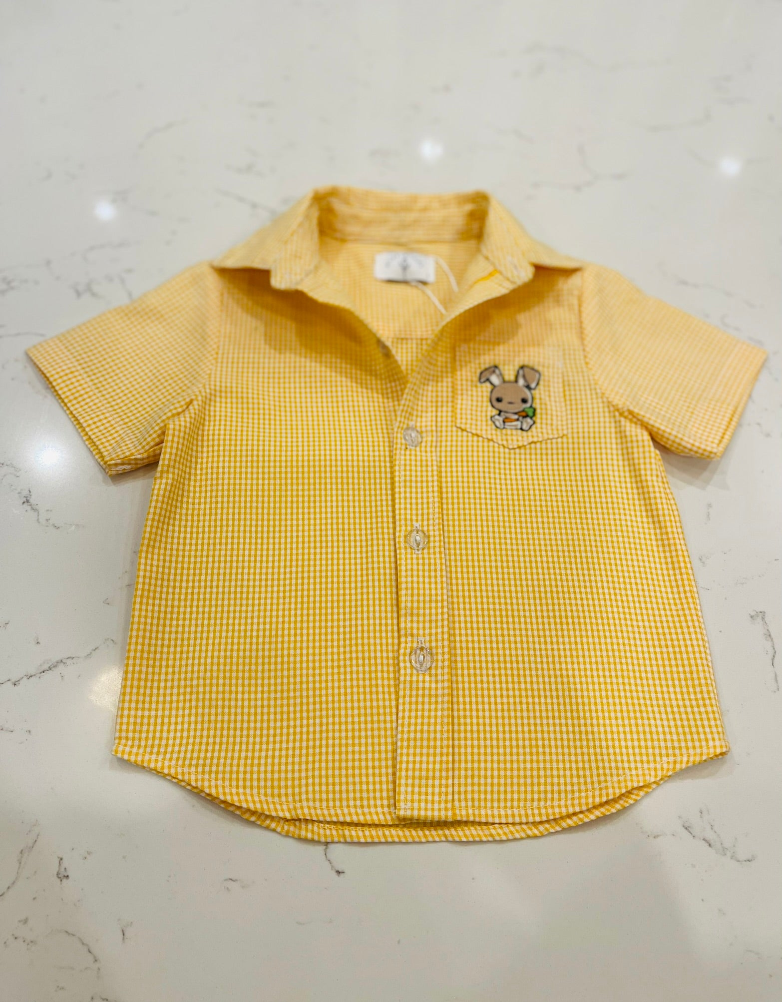 Sunshine Check Boys Shirt