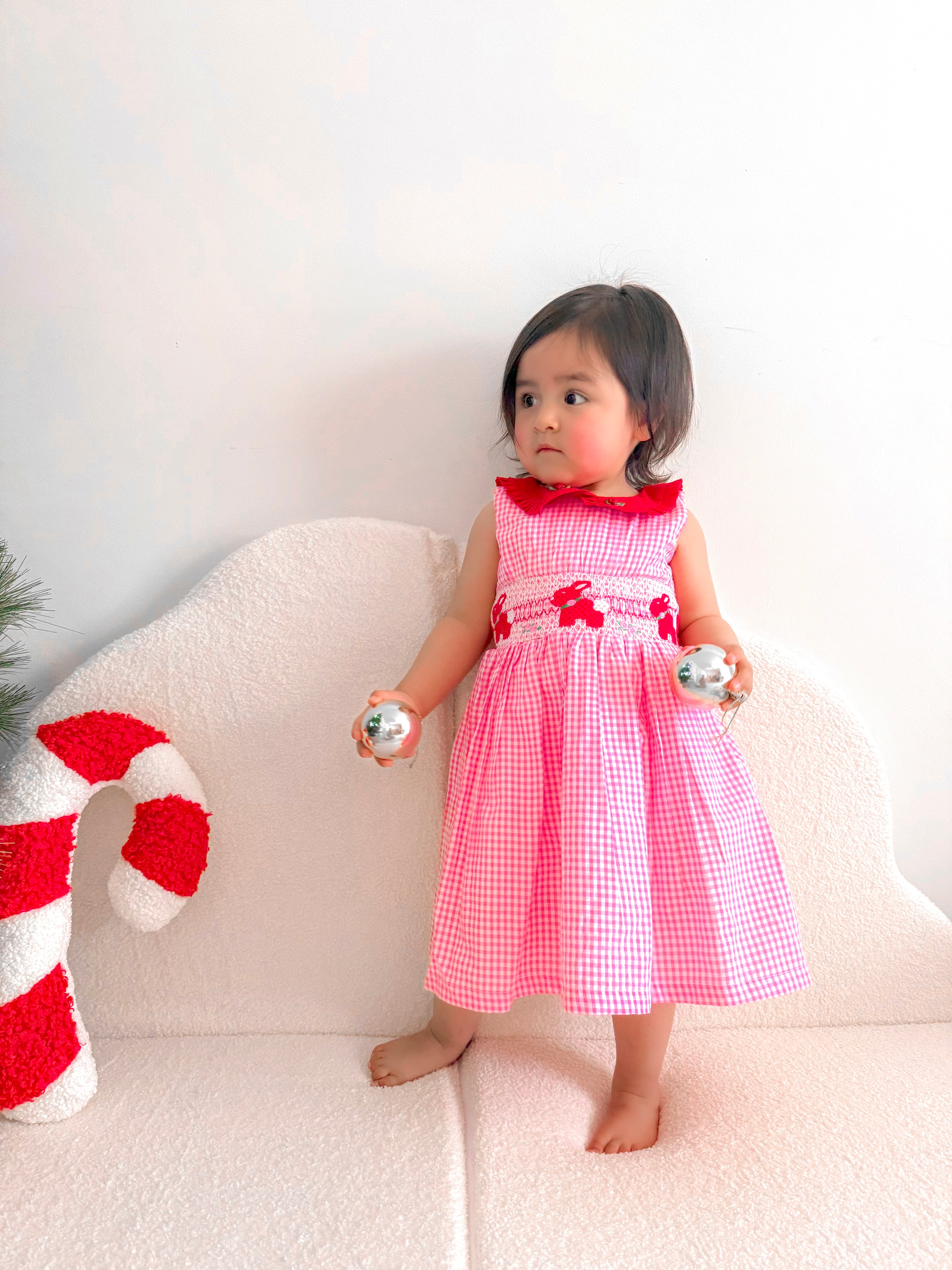 Smocked Holiday Hop Dress