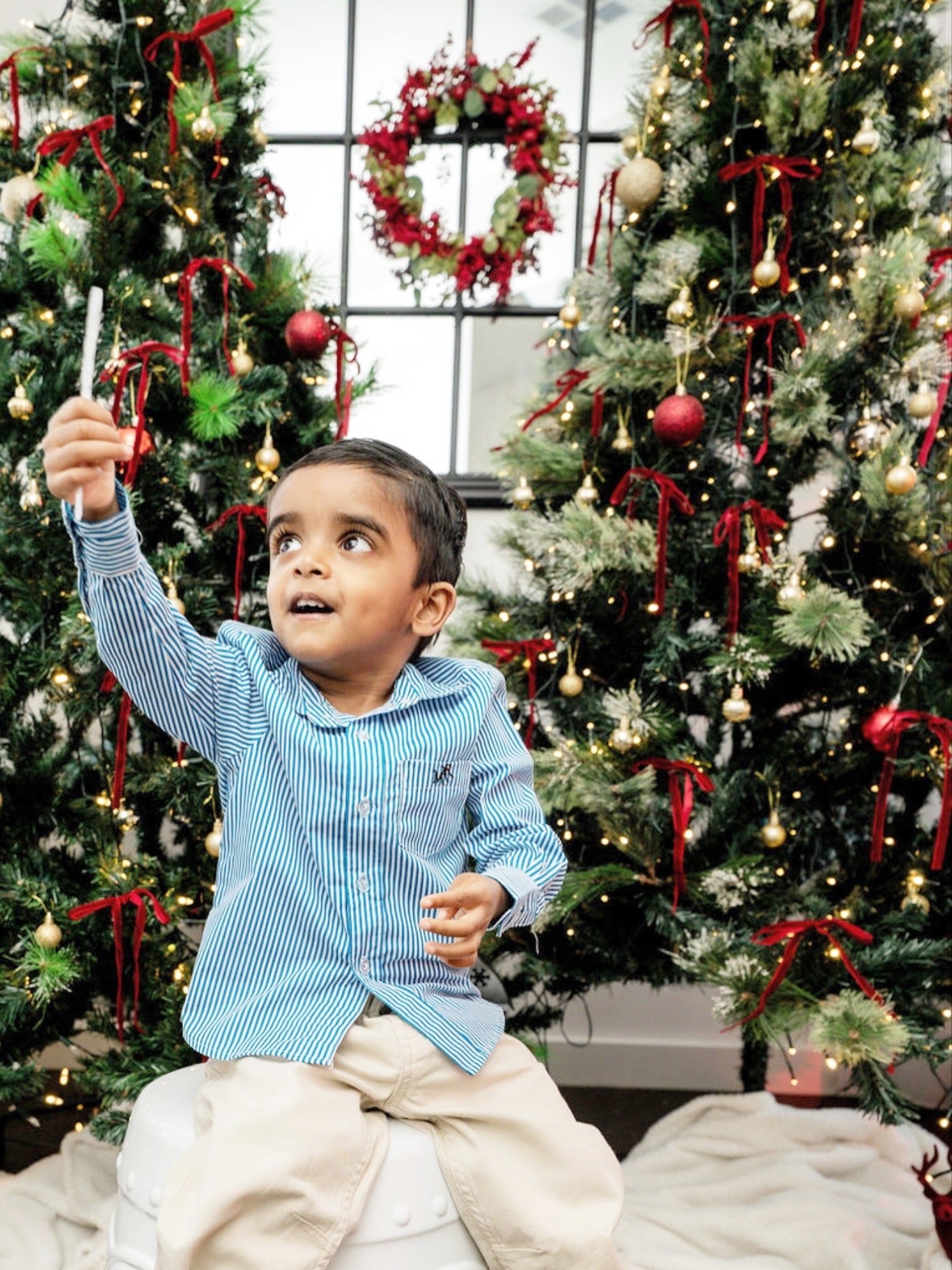 front full shot of a toddler boy wearing a white and blue shirt with MAR embroidery on the pocket with white/cream pants in front of Christmas trees