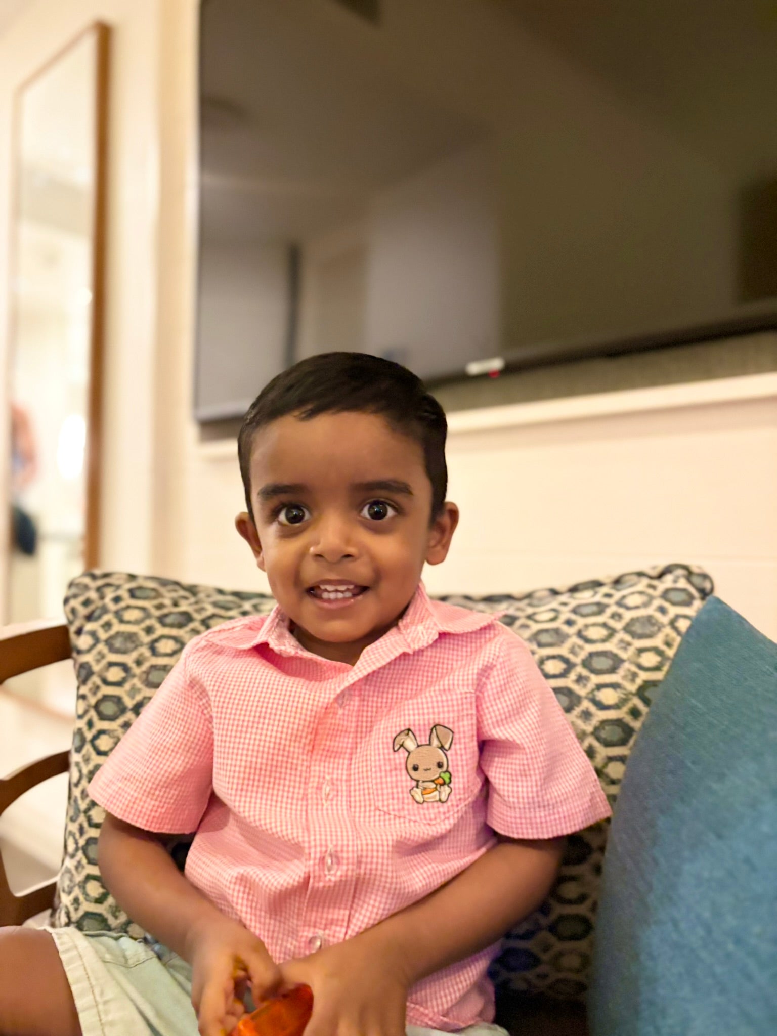 Child wearing a pink shirt with a bunny design, sitting on a couch. wearing a pink and white gingham short sleeve shirt made of 100% cotton fabric and it has a small pocket on the left side with a embroidered bunny. 